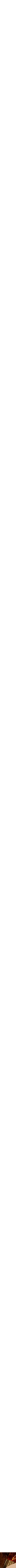 Assorti