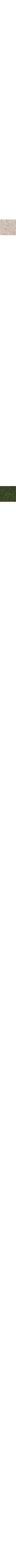 Ecru/Linen