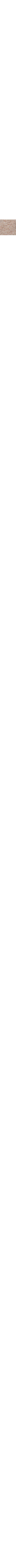 Écru - Lin