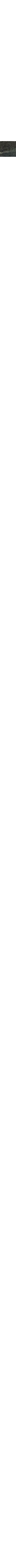 Noir à motifs