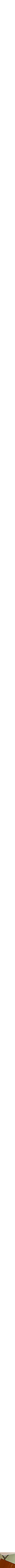 Assorti