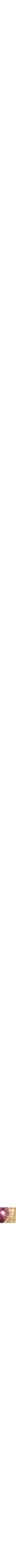 Assorti