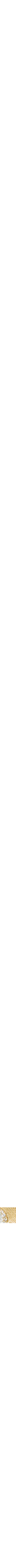 Assorti