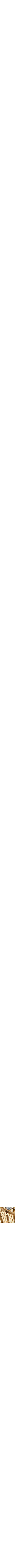 Assorti