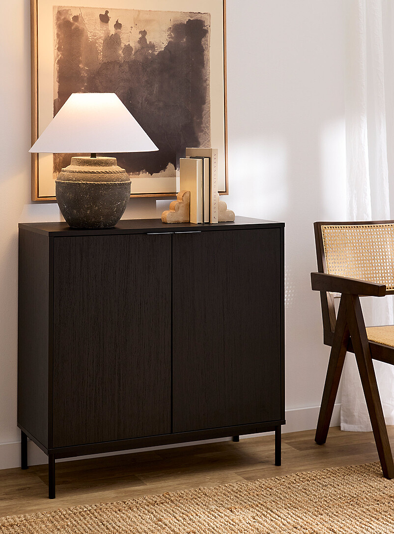 Minimalist two-door floor cabinet product image (primary)