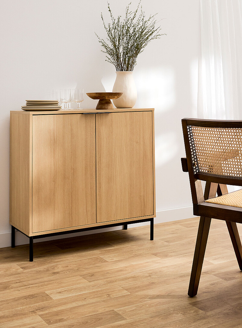 Minimalist Two-Door Floor Cabinet