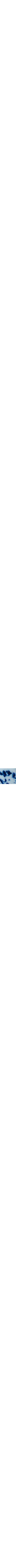 Bleu à motifs