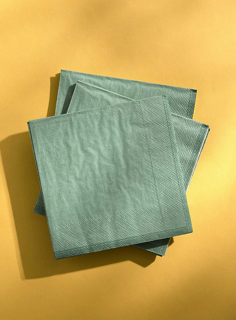 Plain Paper Napkins 16.5 X 16.5 Cm. Pack Of 25.