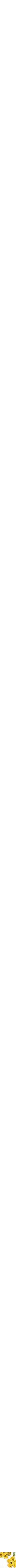 Assorti