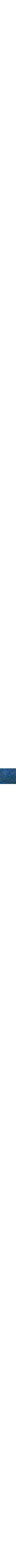 Patterned Blue