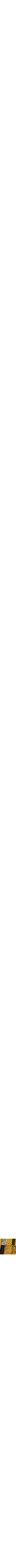Jaune à motifs