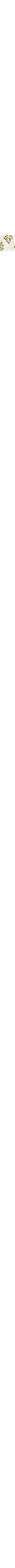 Patterned Ecru