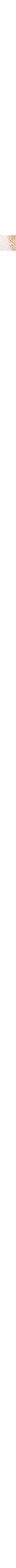 Patterned Ecru