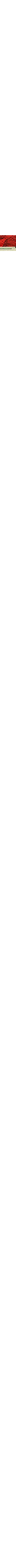 Patterned Ecru