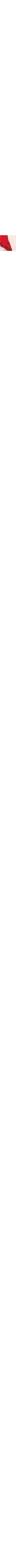 Patterned Ecru