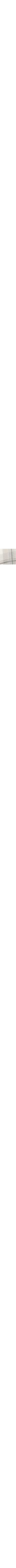 Patterned Cream