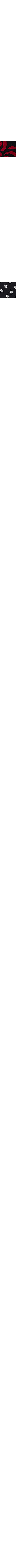 Noir à motifs