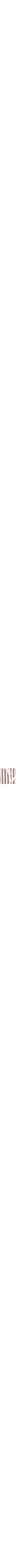 Brun à motifs