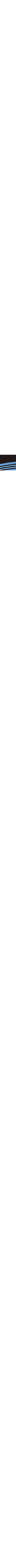 Brun à motifs