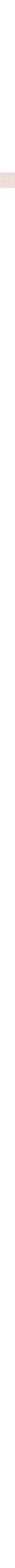 Écru - Lin