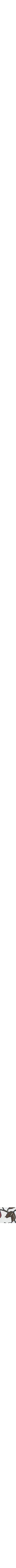 Assorti