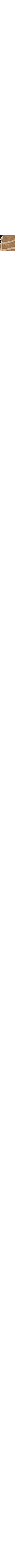 Patterned Ecru