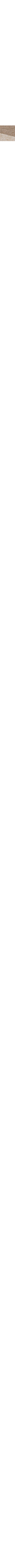 Gris à motifs