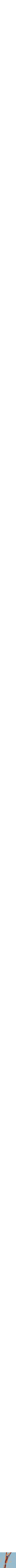 Assorti