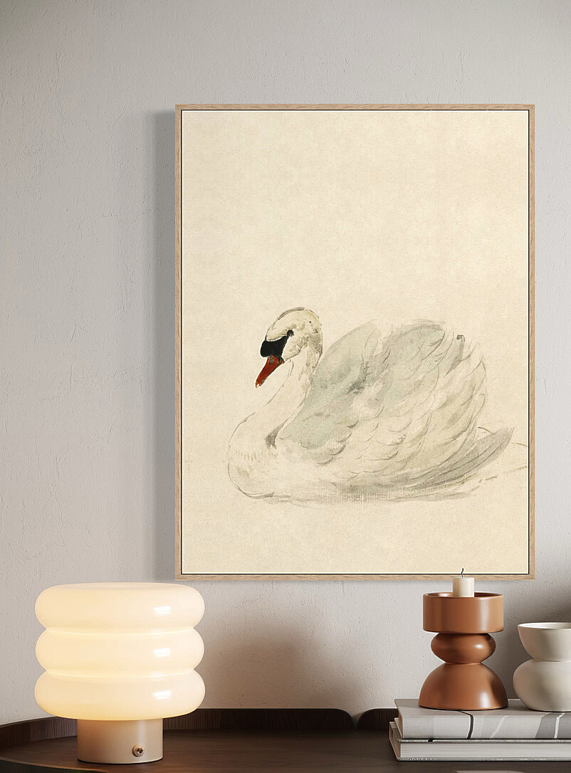 White Swan art print See available sizes product image (primary)