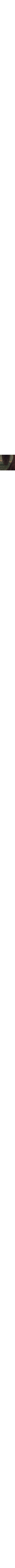 Brun à motifs