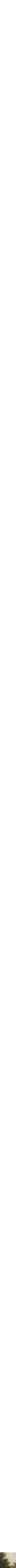 Vert à motifs