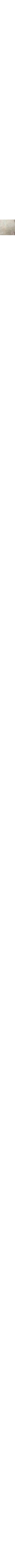 Gris à motifs