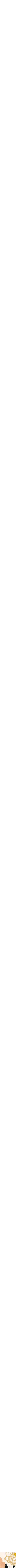 Assorti