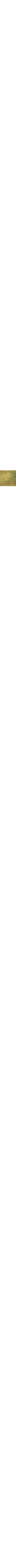 Vert à motifs