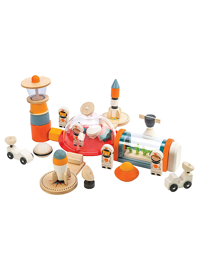 Tender Leaf Toys Assorted Life on Mars wooden set 16-piece set