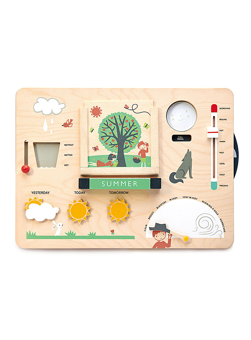 Tender Leaf Toys Assorted Wooden weather watch