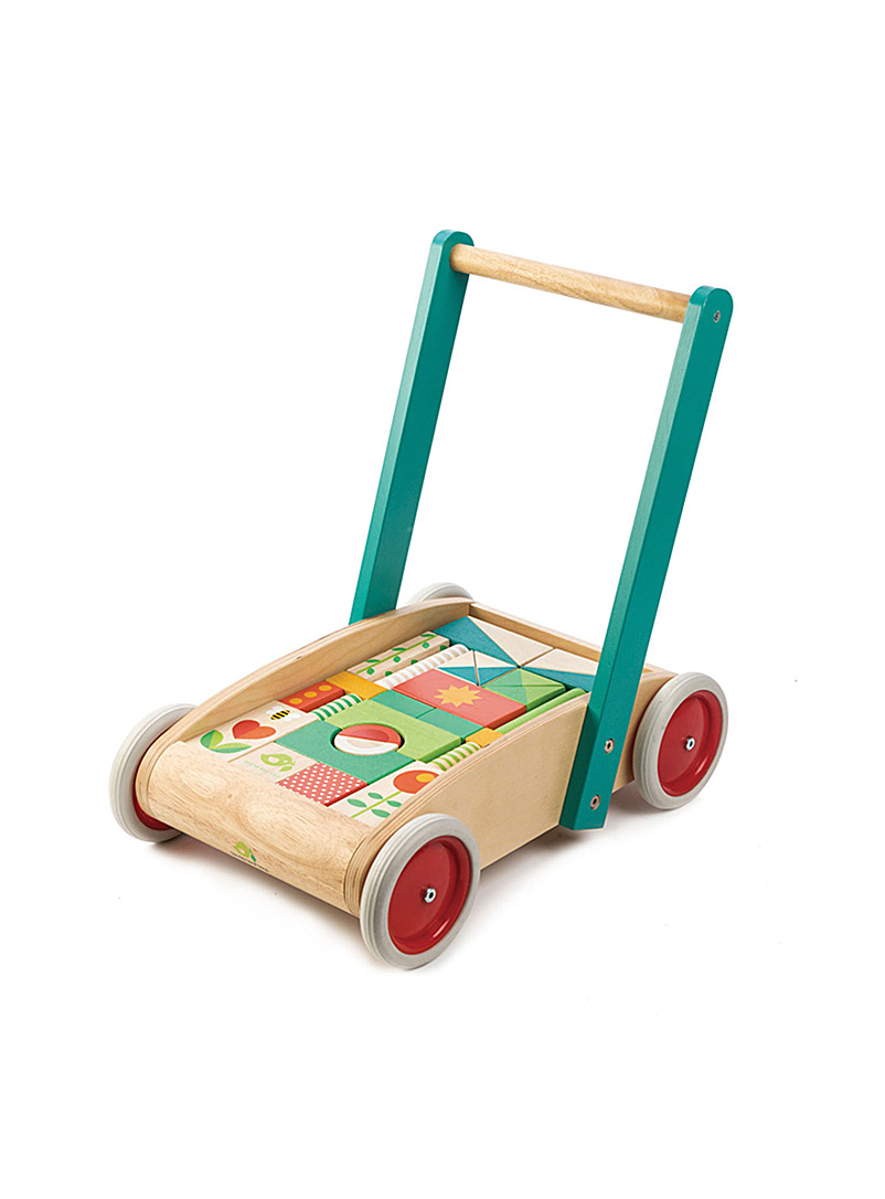 Tender Leaf Toys: La marchette pour bébé et ses blocs en bois Assorti