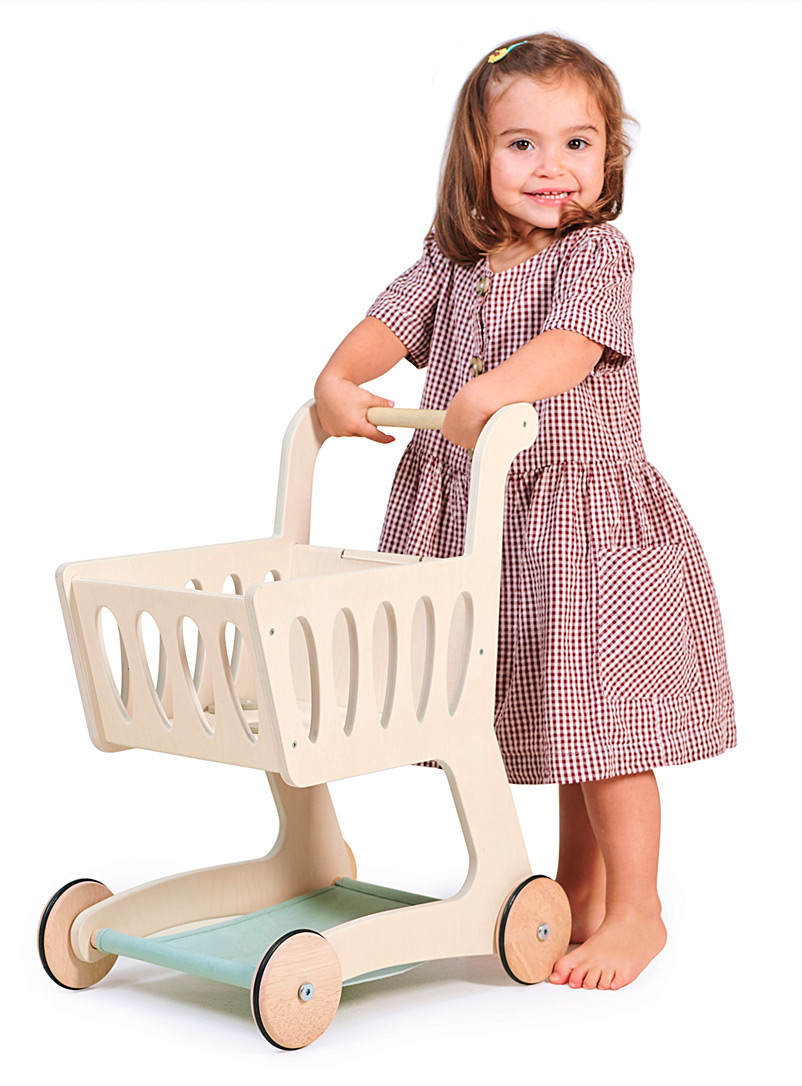 Tender Leaf Toys Assorted Wooden grocery shopping cart