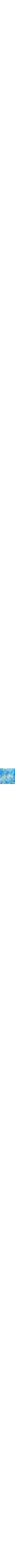 Patterned Blue