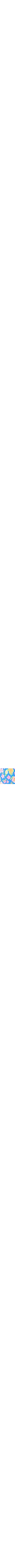 Patterned Blue