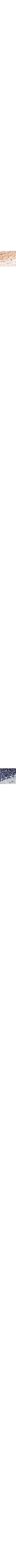 Patterned Blue