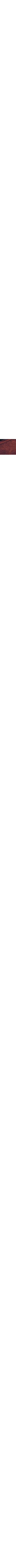 Cuivre - Rouille