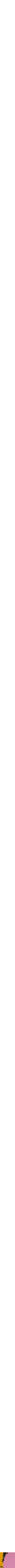 Assorti