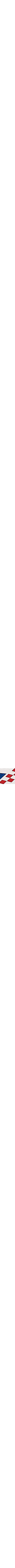 Bleu à motifs