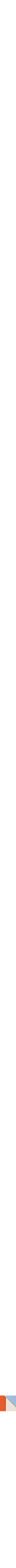 Orange à motifs
