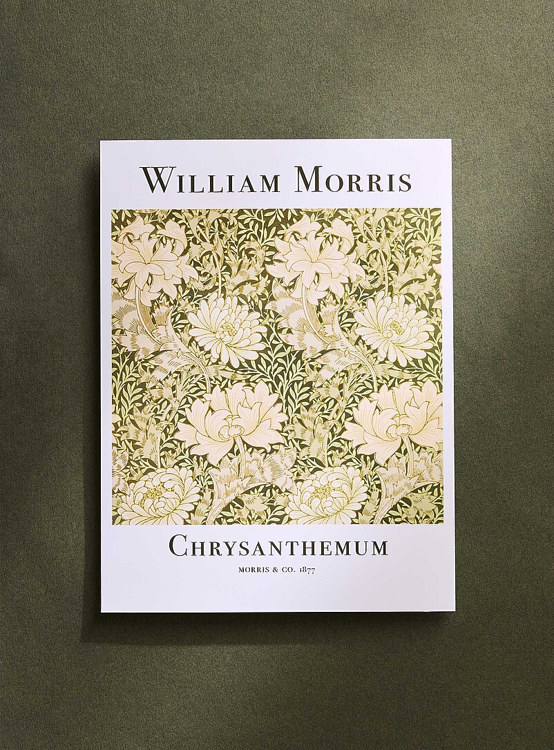 Chrysanthemum poster See available sizes product image (primary)