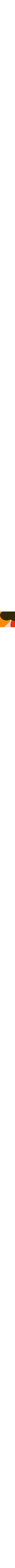 Vert à motifs