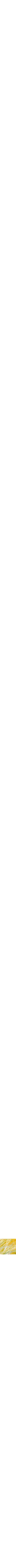 Jaune à motifs