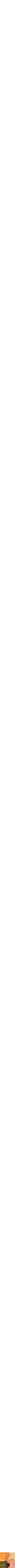 Assorti