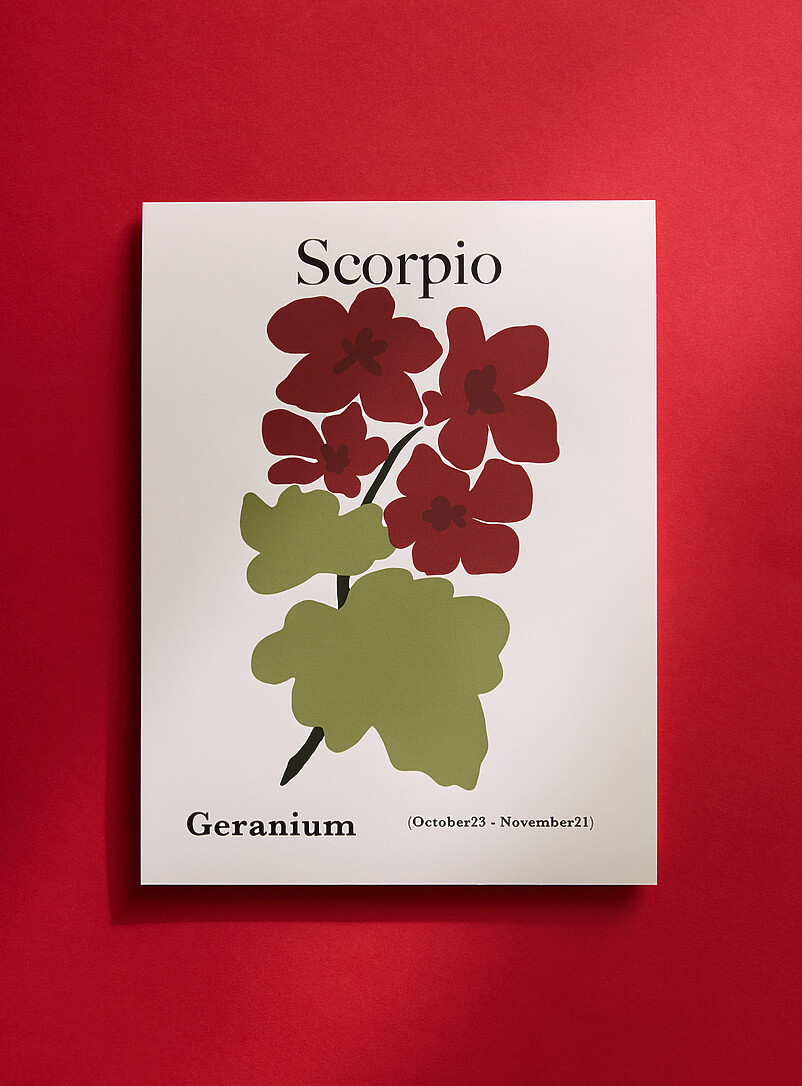 Scorpio Floral Zodiac Poster See Available Sizes